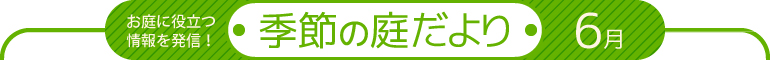 ɖ𗧂𔭐MIG߂̒낾 6