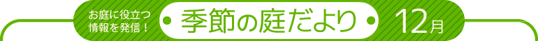 お庭に役立つ情報を発信!季節の庭だより 12月